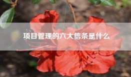 项目管理的六大信条是什么