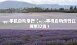 oppo手机自动录音（oppo手机自动录音在哪里设置）