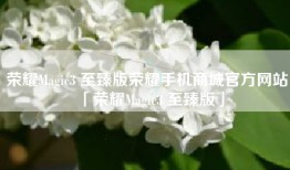 荣耀Magic3 至臻版荣耀手机商城官方网站「荣耀Magic3 至臻版」