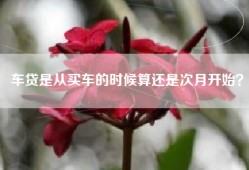 车贷是从买车的时候算还是次月开始？