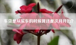 车贷是从买车的时候算还是次月开始？