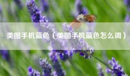 美图手机蓝色（美图手机蓝色怎么调）