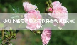 小红书起号详细教程软件自动发送小红书？