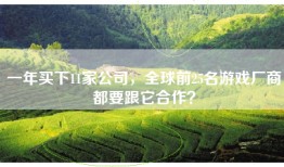 一年买下11家公司，全球前25名游戏厂商都要跟它合作？