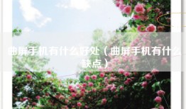 曲屏手机有什么好处（曲屏手机有什么缺点）