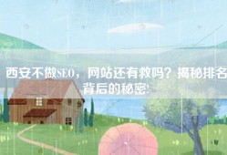 西安不做SEO，网站还有救吗？揭秘排名背后的秘密!