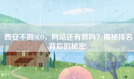 西安不做SEO，网站还有救吗？揭秘排名背后的秘密!