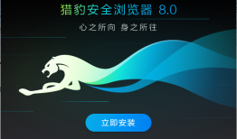 猎豹浏览器v9.0.112.22553猎豹浏览器手机版「猎豹浏览器v9.0.112.22553」