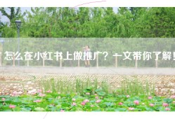 怎么在小红书上做推广？一文带你了解！
