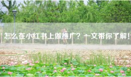 怎么在小红书上做推广？一文带你了解！