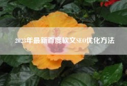 2023年最新百度软文SEO优化方法