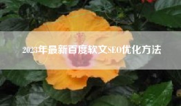 2023年最新百度软文SEO优化方法