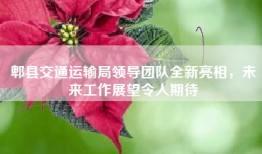 郫县交通运输局领导团队全新亮相，未来工作展望令人期待