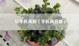 让手机高音（手机高音量）