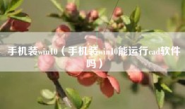 手机装win10（手机装win10能运行cad软件吗）