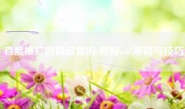 百度推广时段设置的(黑帽seo)策略与技巧