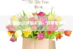 乌翠SEO品牌服务商，效果有保障