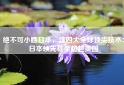 绝不可小瞧日本，这四大全球顶尖技术：日本领先甚至超越美国