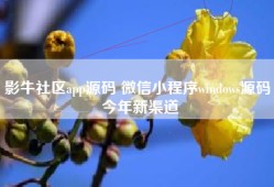 影牛社区app源码 微信小程序windows源码 今年新渠道