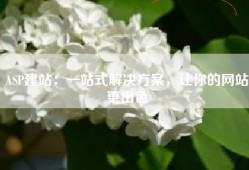 ASP建站：一站式解决方案，让你的网站更出色