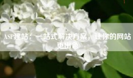 ASP建站：一站式解决方案，让你的网站更出色