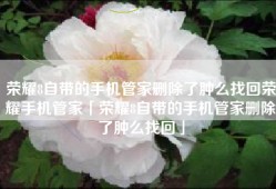 荣耀8自带的手机管家删除了肿么找回荣耀手机管家「荣耀8自带的手机管家删除了肿么找回」
