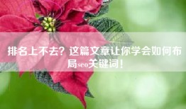 排名上不去？这篇文章让你学会如何布局seo关键词！