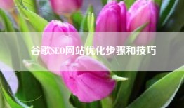 谷歌SEO网站优化步骤和技巧
