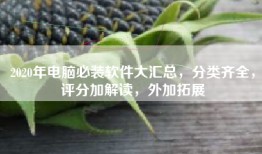 2020年电脑必装软件大汇总，分类齐全，评分加解读，外加拓展