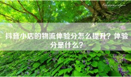 抖音小店的物流体验分怎么提升？体验分是什么？