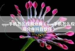 oppo手机怎么应用分身（oppo手机怎么应用分身抖音软件）