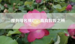 搜狗排名推广，真真假假之辨