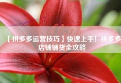 【拼多多运营技巧】快速上手！拼多多店铺铺货全攻略