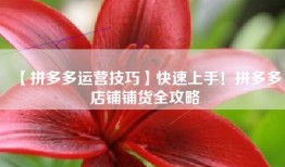 【拼多多运营技巧】快速上手！拼多多店铺铺货全攻略