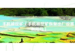 手机被挖矿（手机被挖矿恢复出厂设置有用吗）