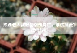 陕西老人被野猪袭击身亡，谁该担责？律师解析