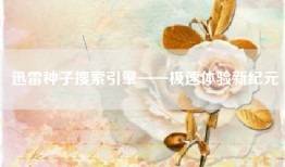 迅雷种子搜索引擎——极速体验新纪元