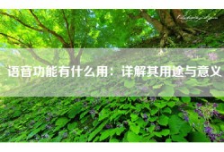 语音功能有什么用：详解其用途与意义