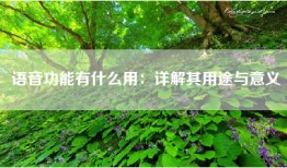语音功能有什么用：详解其用途与意义