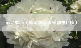 笔记本cpu（笔记本cpu天梯图快科技）
