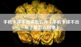 手机卡读不出来怎么办（手机卡读不出来了是怎么回事）