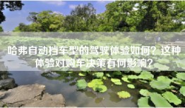 哈弗自动档车型的驾驶体验如何？这种体验对购车决策有何影响？
