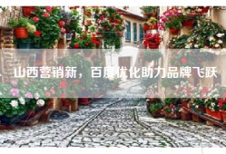 山西营销新，百度优化助力品牌飞跃