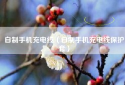 自制手机充电线（自制手机充电线保护套）