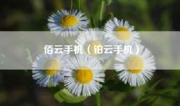 佰云手机（铂云手机）