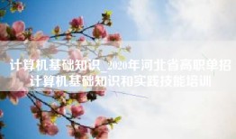 计算机基础知识_2020年河北省高职单招计算机基础知识和实践技能培训