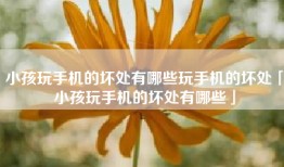 小孩玩手机的坏处有哪些玩手机的坏处「小孩玩手机的坏处有哪些」