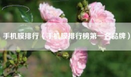 手机膜排行（手机膜排行榜第一名品牌）