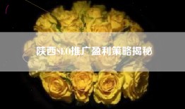 陕西SEO推广盈利策略揭秘