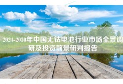 2024-2030年中国无钴电池行业市场全景调研及投资前景研判报告